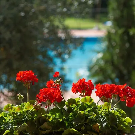 Apartament Rosse Seravezza