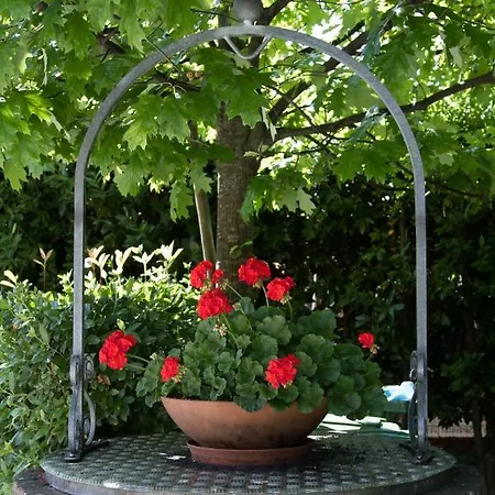 Rosse Apartment