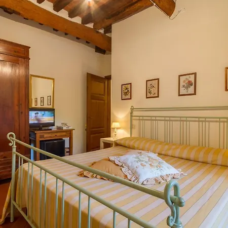 Rosse セラヴェッツァ