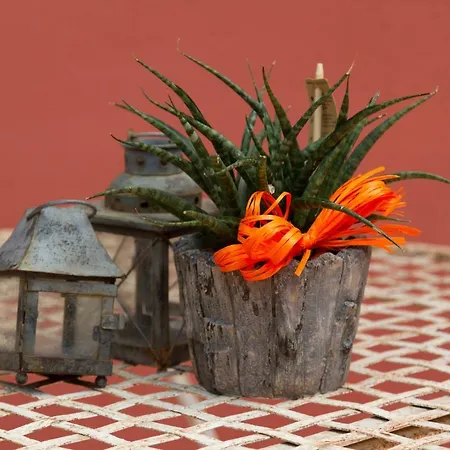 Rosse Apartment