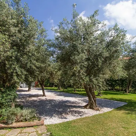 Rosse Apartment