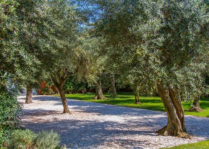 Rosse Apartamento Seravezza